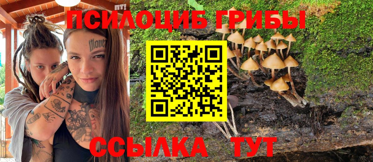 Псилоцибиновые грибы ЛСД Кулебаки