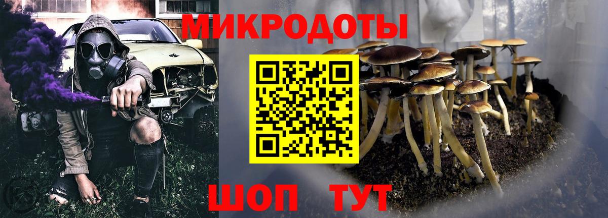 Кулебаки  Псилоцибиновые грибы Psilocybine cubensis  Вход с VPN 